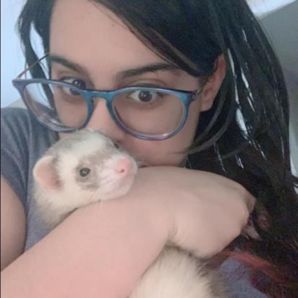 Meet your Posher, Zybelle